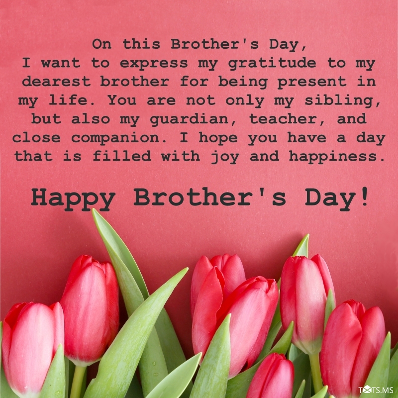 Brother's Day Wishes from Sister